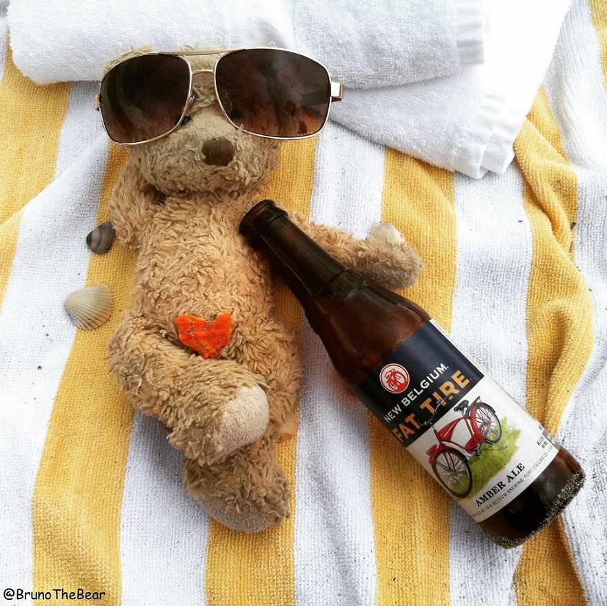 Everything Is Pawsibble: Pictures Of Bruno The Bear Travelling The World Everything Is Pawsibble: Pictures Of Bruno The Bear Travelling The World