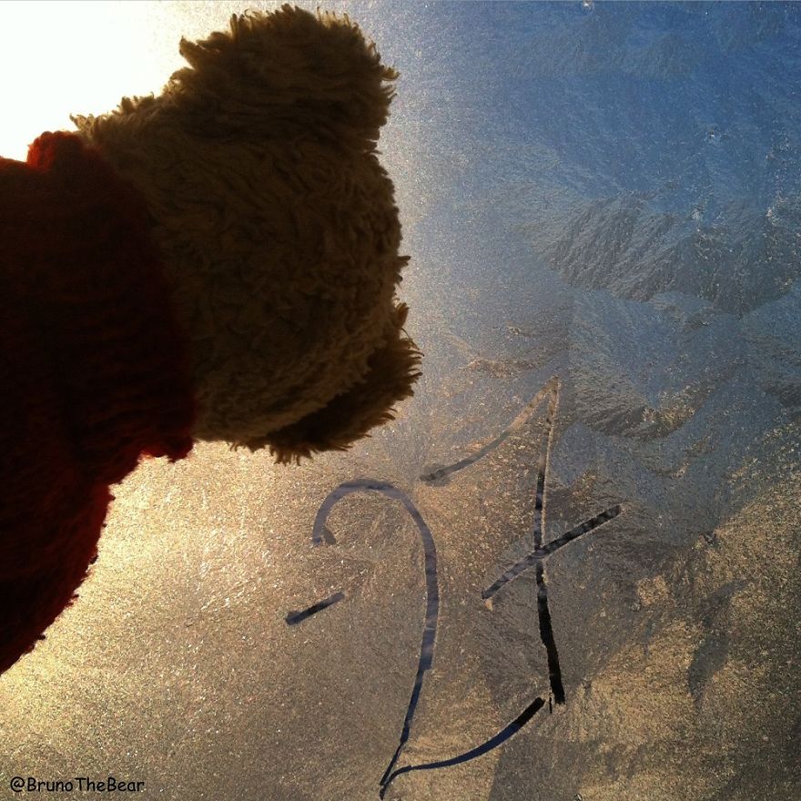 Everything Is Pawsibble: Pictures Of Bruno The Bear Travelling The World Everything Is Pawsibble: Pictures Of Bruno The Bear Travelling The World