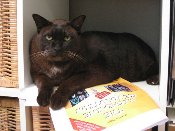 "get Your Own Copy Of This Book Because This One Is Mine!"