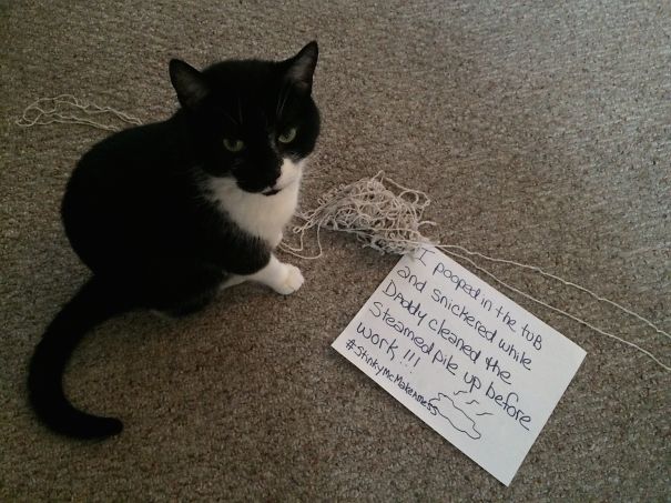 I Pooped In The Tub And Made Daddy Clean It Up!