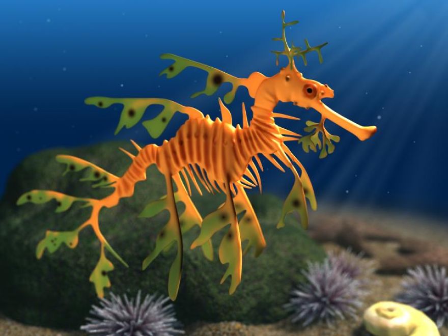 Leafy Seadragon