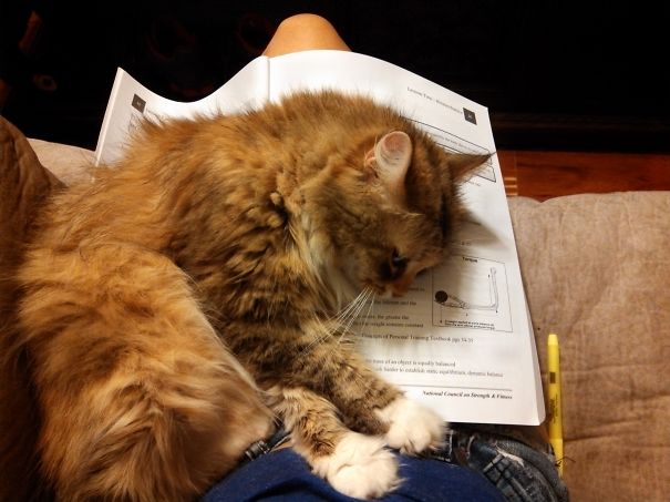 I Love When You Take Out My Favorite Bed!