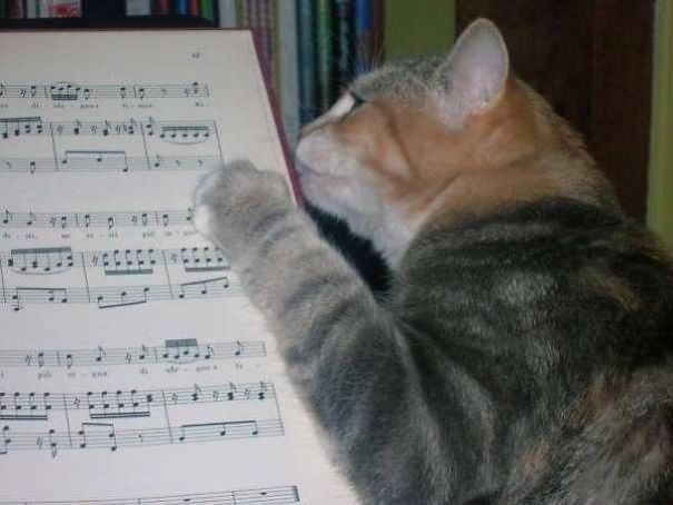 Liesl *hearts* Mozart