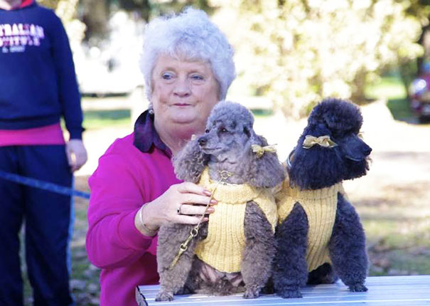 Owners Do Look Like Their Dogs!