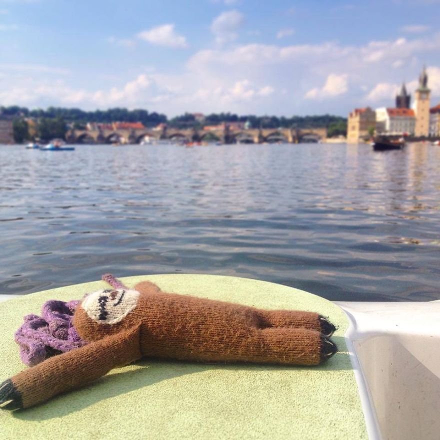 Meet Super Sloth: The Worlds Most Famous Woolen Adventurer Meet Super Sloth: The Worlds Most Famous Woolen Adventurer