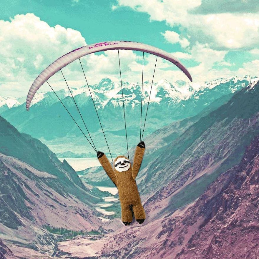Meet Super Sloth: The Worlds Most Famous Woolen Adventurer Meet Super Sloth: The Worlds Most Famous Woolen Adventurer