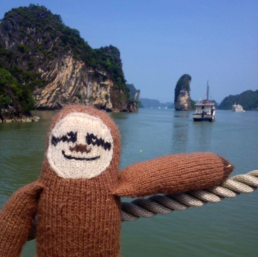 Meet Super Sloth: The Worlds Most Famous Woolen Adventurer