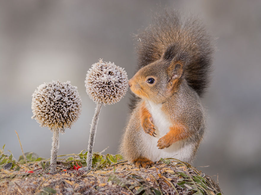 A Professional Painter And I Combined Our Works Into One Exhibition A Professional Painter And I Combined Our Works Into One Exhibition