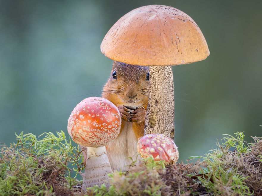 A Professional Painter And I Combined Our Works Into One Exhibition