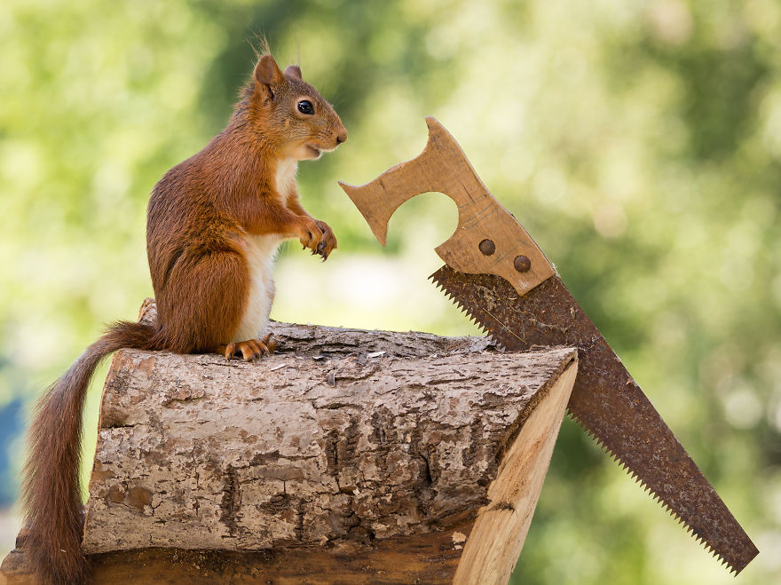 A Professional Painter And I Combined Our Works Into One Exhibition A Professional Painter And I Combined Our Works Into One Exhibition