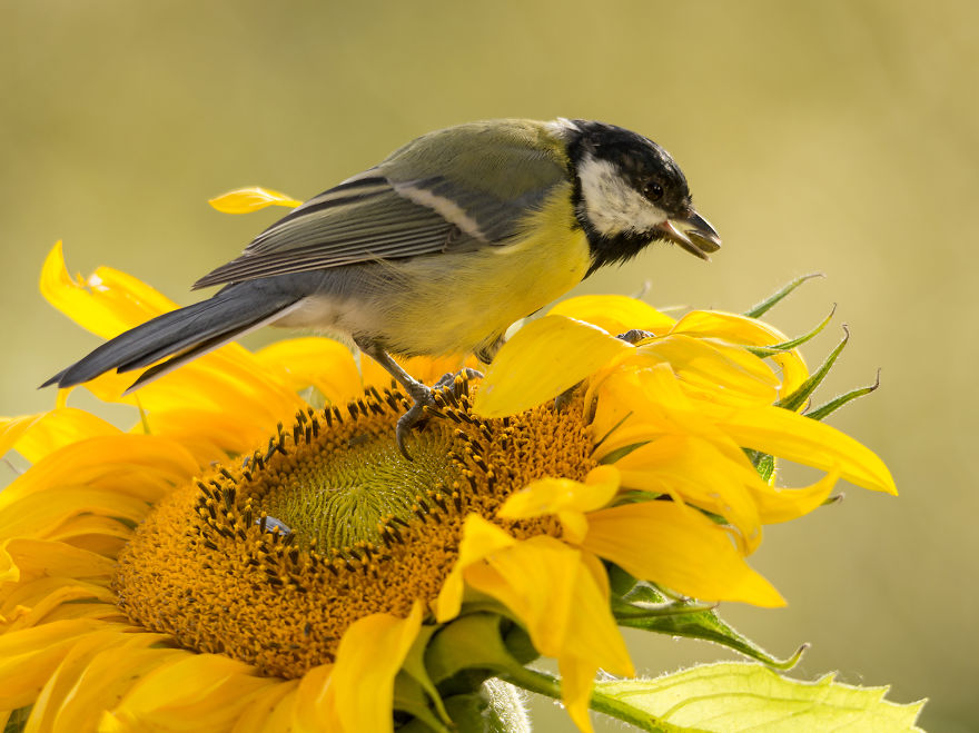 A Professional Painter And I Combined Our Works Into One Exhibition