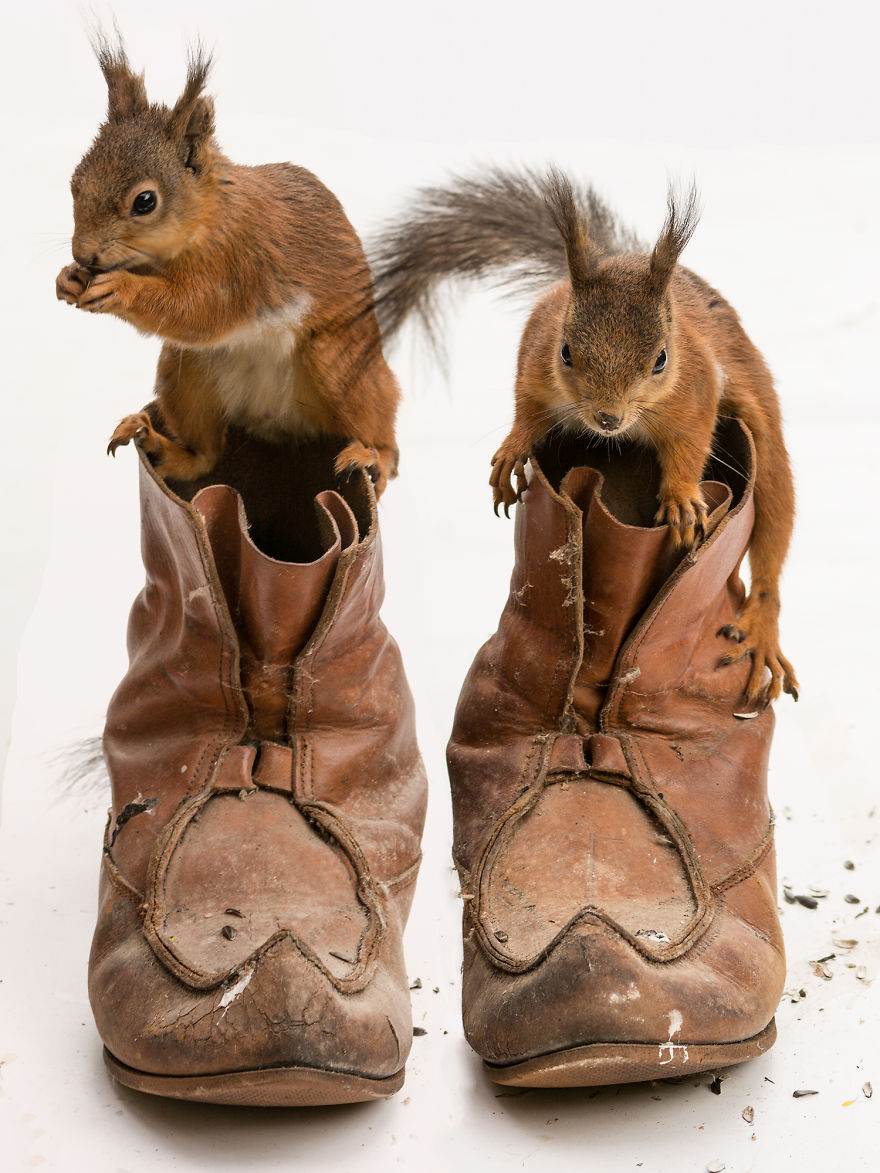 A Professional Painter And I Combined Our Works Into One Exhibition A Professional Painter And I Combined Our Works Into One Exhibition