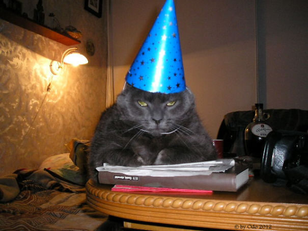 The Side Effect Of Reading Harry Potter.