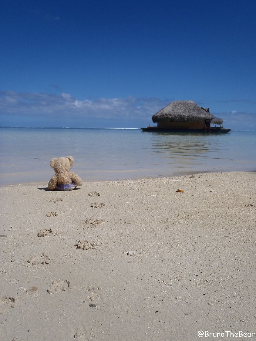 Everything Is Pawsibble: Pictures Of Bruno The Bear Travelling The World Everything Is Pawsibble: Pictures Of Bruno The Bear Travelling The World