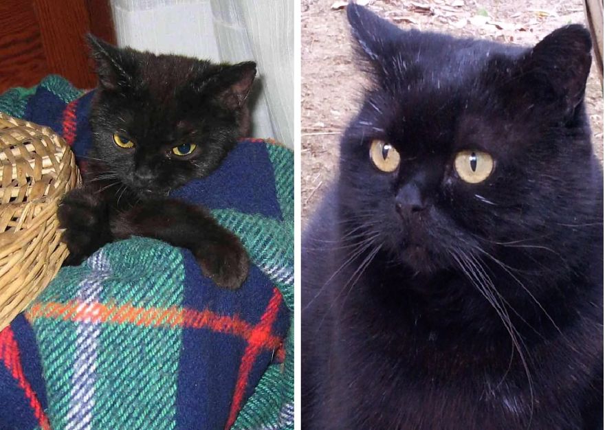 My Pasqualina At 6 Months And 10 Years!