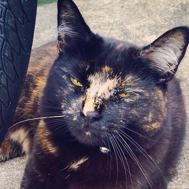 Peach With An Evil Look In Her Eyes