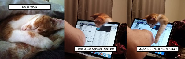 You Are Doing It All Wrong!