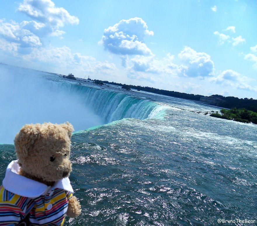 Everything Is Pawsibble: Pictures Of Bruno The Bear Travelling The World Everything Is Pawsibble: Pictures Of Bruno The Bear Travelling The World