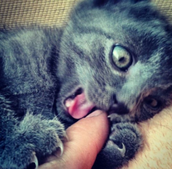 Arthur...and My Finger 