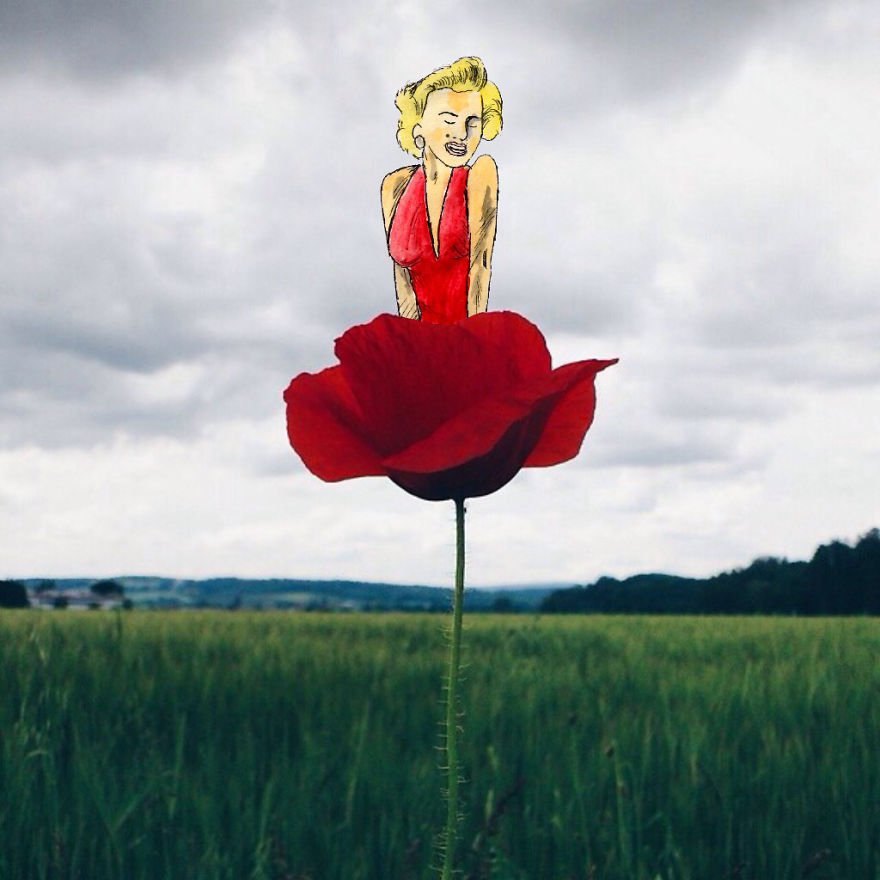 I Create Illustrations Using Everyday Objects (Part 2)