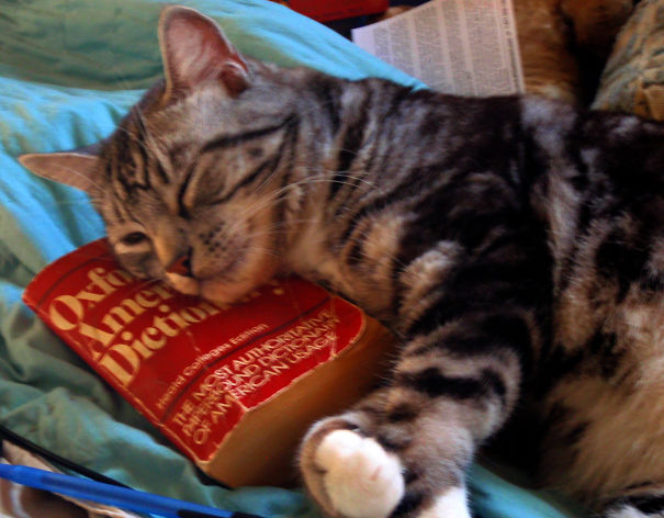 He's Learning By Osmosis