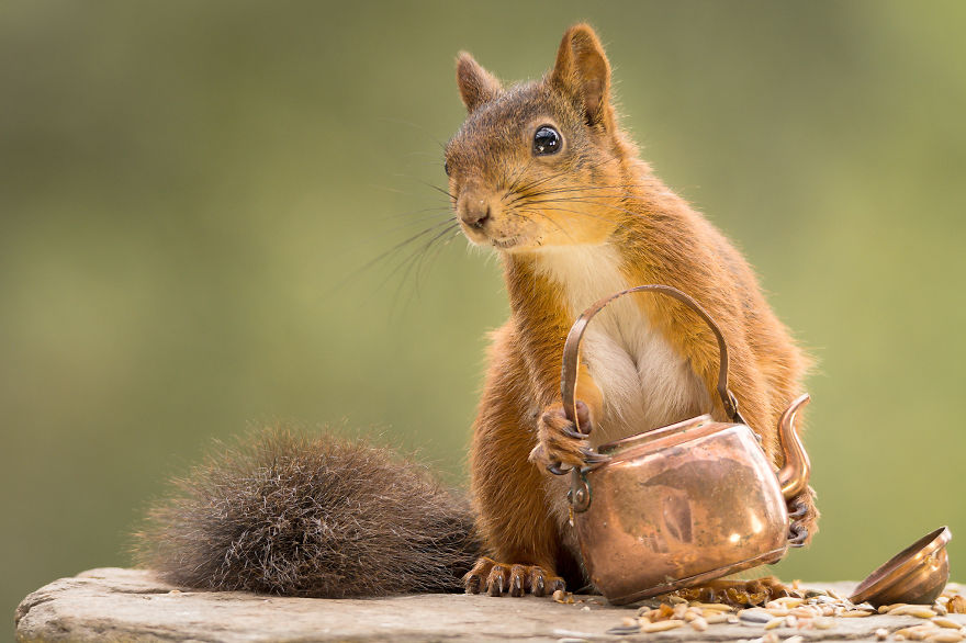 The View I See Through My Kitchen Window Every Day