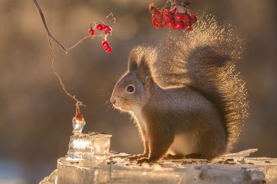 The View I See Through My Kitchen Window Every Day