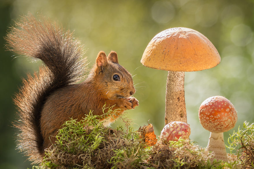 The View I See Through My Kitchen Window Every Day