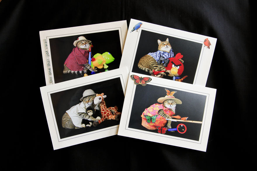 The Best Dressed Cat On The Internet The Best Dressed Cat On The Internet