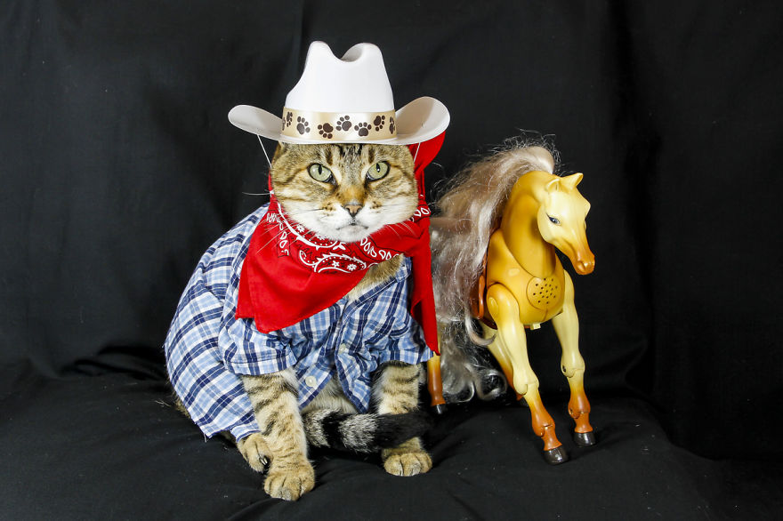 The Best Dressed Cat On The Internet The Best Dressed Cat On The Internet