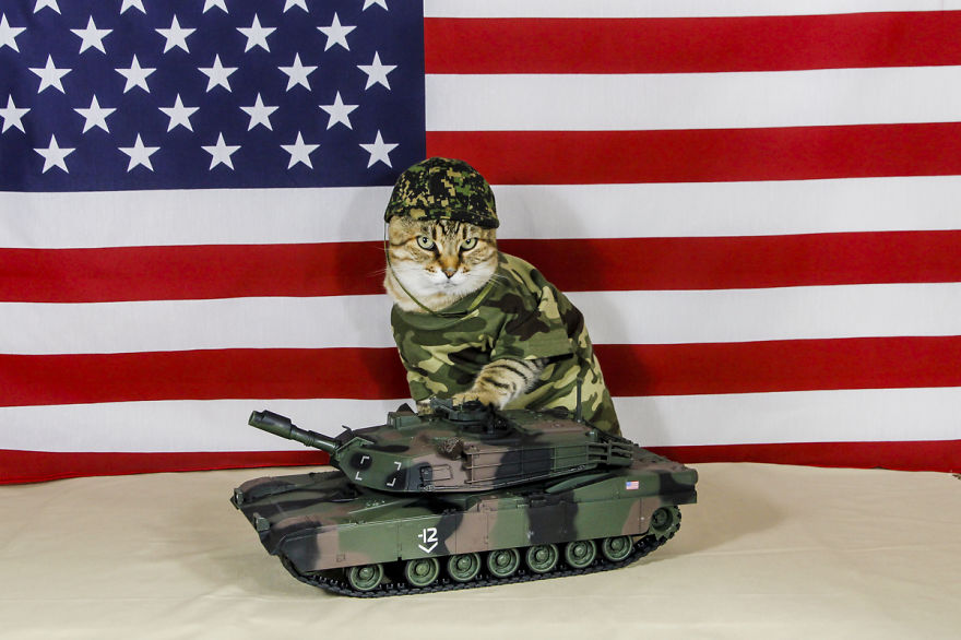 The Best Dressed Cat On The Internet The Best Dressed Cat On The Internet