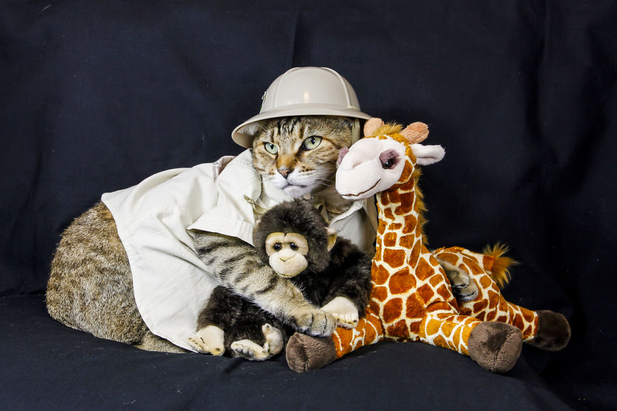 The Best Dressed Cat On The Internet The Best Dressed Cat On The Internet