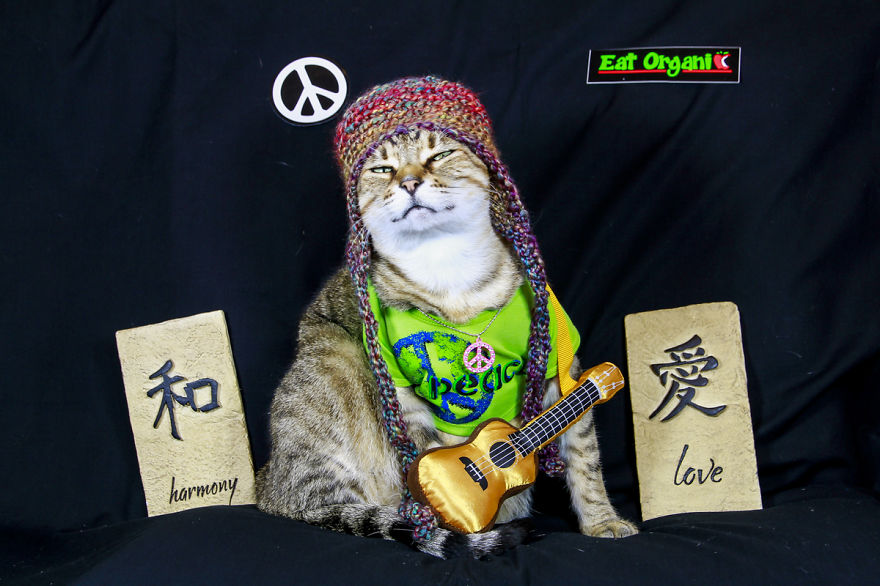 The Best Dressed Cat On The Internet The Best Dressed Cat On The Internet