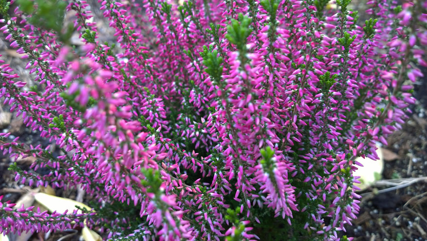 My Travel Photos Of The Netherlands