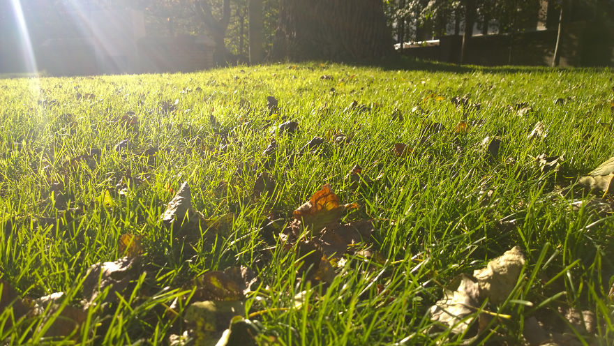 My Travel Photos Of The Netherlands