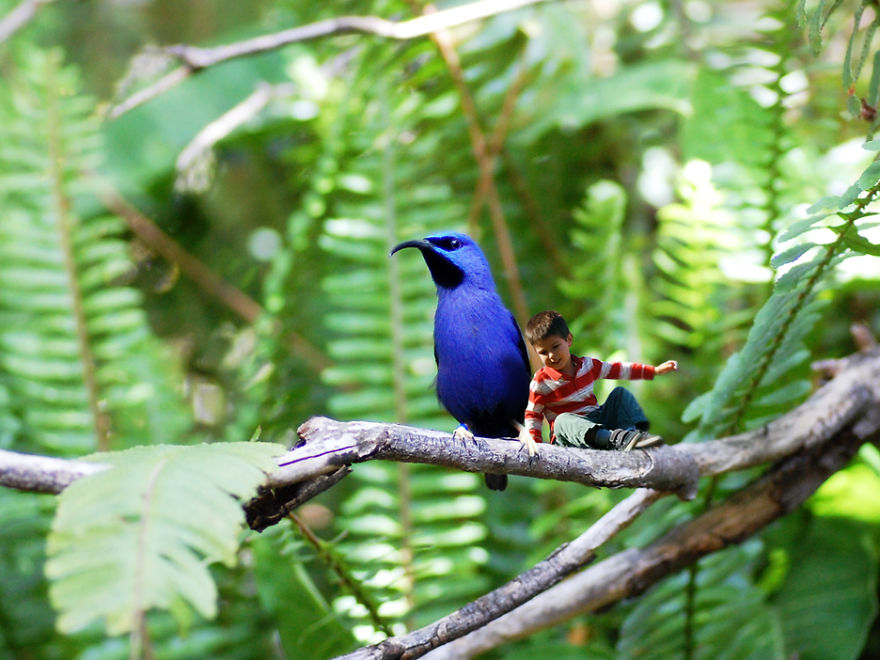 The Macro World In My Backyard