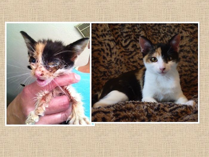 Treasure…"one Man's Trash Is Another Man's Treasure"