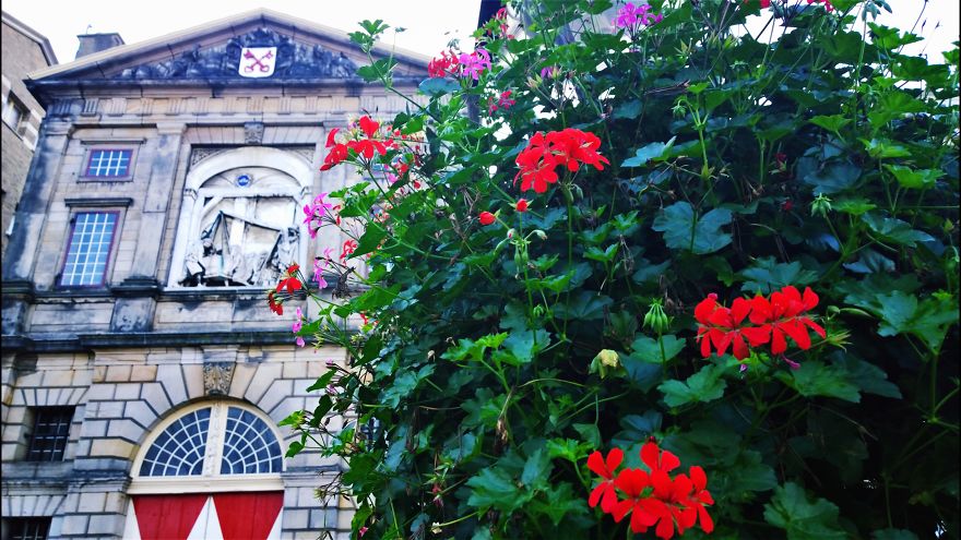 My Travel Photos Of The Netherlands