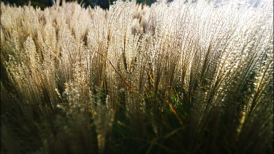 My Travel Photos Of The Netherlands