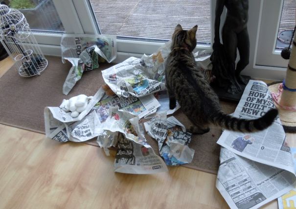 You Can Read It Now, I Am Going Out!