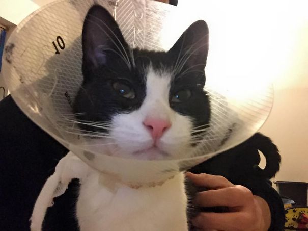 You Snipped My Balls. Sleep With One Eye Open!