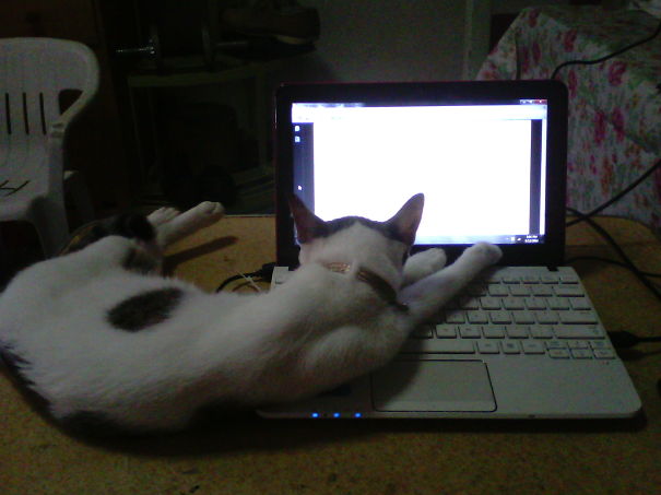 She Got Tired Doing Her Thesis.