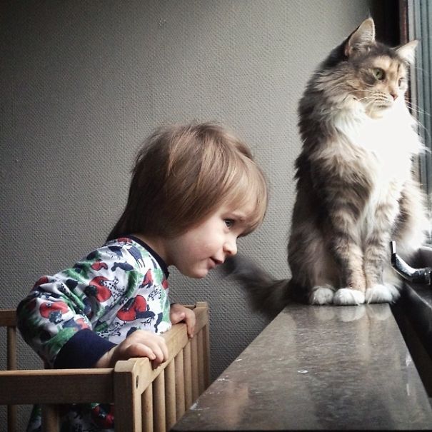 Listening To Birds In The Morning