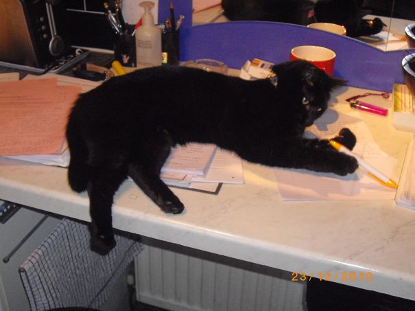 What? You Clearly Dont Need A Pen. I'm Here .