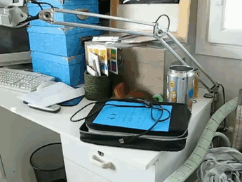 adopted-wild-red-squirrel-baby-arttu-finland-21