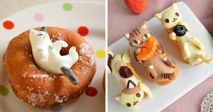 Adorable Cat-Shaped Sweets Inspired By My Cat Apelila