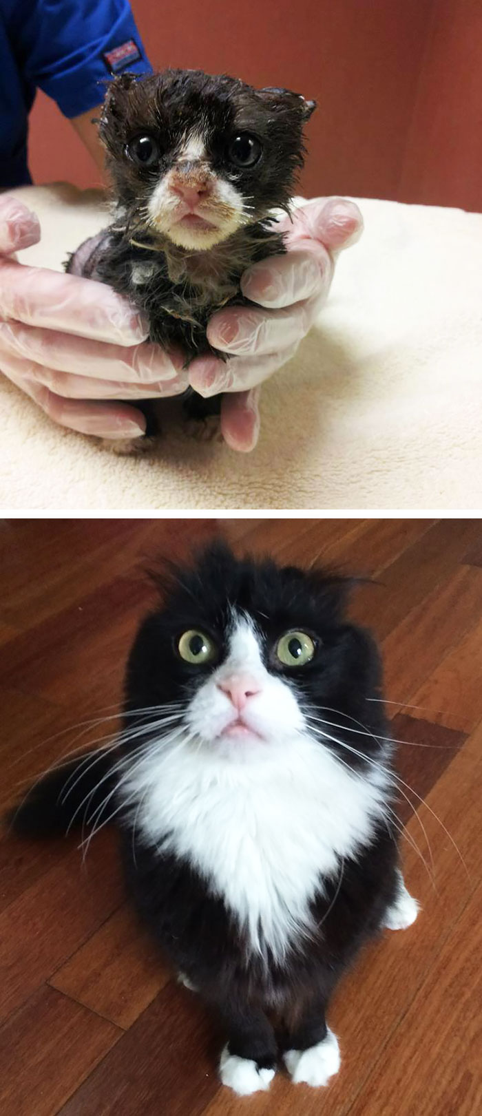 Justin, Fire Survivor