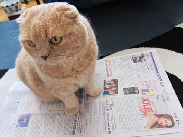 I Am A Big Fan Of Reading