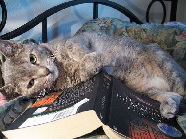 Enough Books For Today