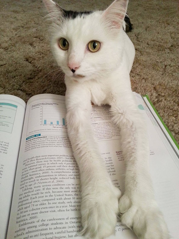 What Do You Mean You Have To Study?